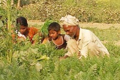 Rs 60,000 cr farmer loan waived | No waiver for Vidarbha