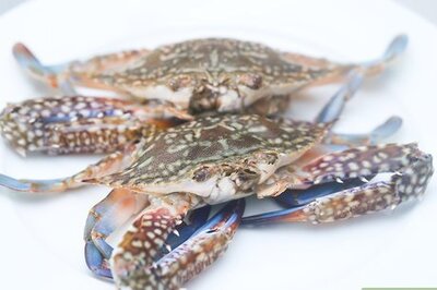 How to Boil Crab