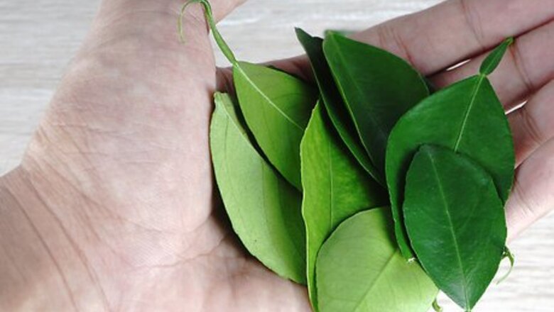 How to Make Herbal Earl Grey Tea