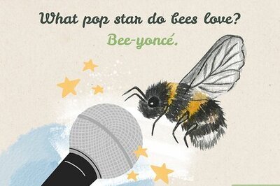 200+ Bee Puns and Jokes to Get the Whole Hive Laughing