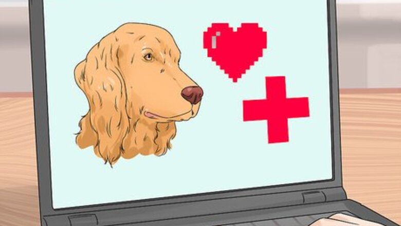 How to Train a Service Dog
