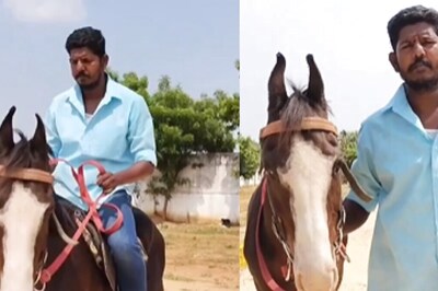 In Tamil Nadu's Thanjavur, Youth Breeds Horse That Runs At 70 Kmph