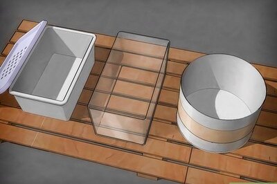 How to Care for Mealworms