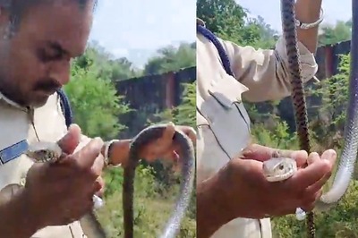 MP Cop Saves Unconscious Snake By Performing CPR in Viral Video, Gets Lauded