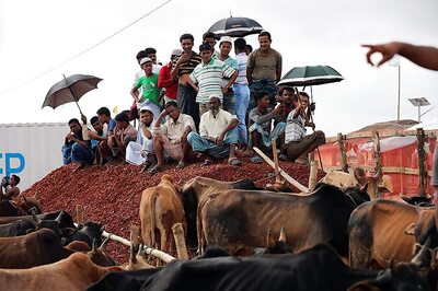 Aid Curbs in Myanmar's Rakhine Impact 'At Least 50,000 People': UN