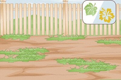 How to Lay a Turf Lawn