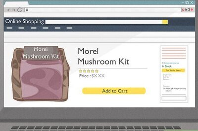 How to Grow Morel Mushrooms