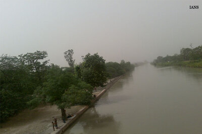 Greens up against Mayawati's dream expressway