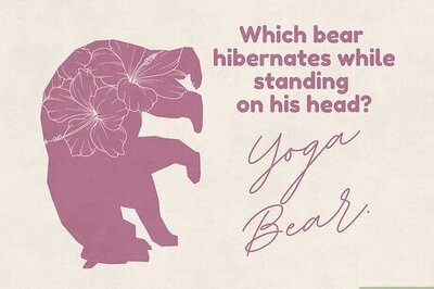 130+ Hilarious Bear Jokes for Kids and Adults