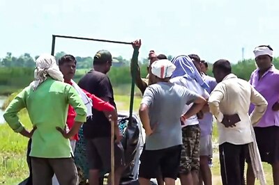 Wolf Menace In UP: Minor, Woman Injured In Fresh Attacks In Bahraich, 8 Deaths Since July 17