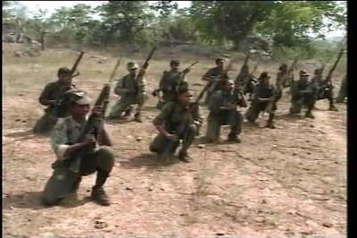 Maoists planning to disrupt Chhattisgarh elections: IB alert