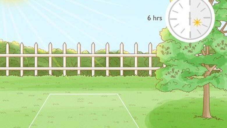 How to Start a Flower Garden