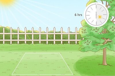 How to Start a Flower Garden