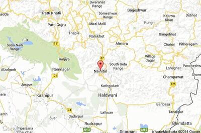 10-year-old female elephant found dead near Corbett Tiger Reserve