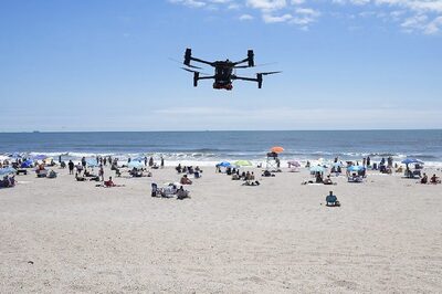 Angry Birds Attack Drones That Patrol New York Beaches For Sharks And Drowning Swimmers