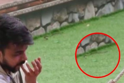 Snake Spotted Inside Bigg Boss OTT 3 House? Viral Video Leaves Lovekesh Kataria's Fans Furious