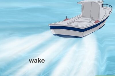 Why Dolphins Ride the Wake of a Boat: Everything You Ever Wanted to Know