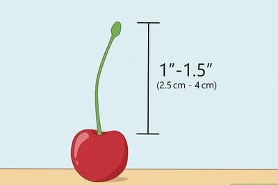 How to Tie a Knot in a Cherry Stem With Your Tongue