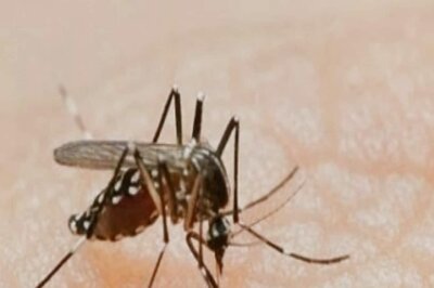 129 Fresh Cases of Dengue in Delhi, Tally Rises to Over 500
