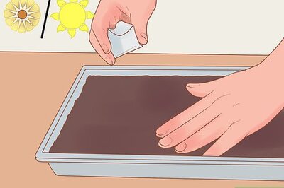 How to Grow Biennials Successfully