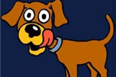 Dog loots man of Rs 60K, scoots off