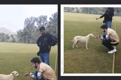 On Camera, Kiccha Sudeep Affectionately Feeding a Street Dog Is Sight To Behold