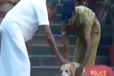 Old Video of Kerala CM Awarding Medal to Retiring Police Dogs Goes Viral