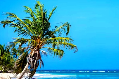 Welsh Beaches Witness Surge In Exotic Creatures As Sea Temperatures Rise