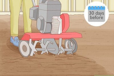 How to Protect Your Garden from Insects: 12 Ways to Keep Bugs from Eating Your Plants