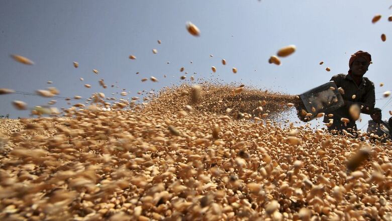 Punjab Tops in Wheat Procurement, Rs 26,000 Crore Paid as MSP to Farmers in State