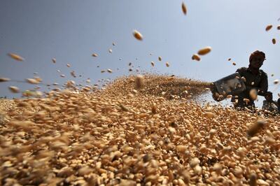 Punjab Tops in Wheat Procurement, Rs 26,000 Crore Paid as MSP to Farmers in State