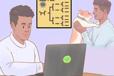 How to Check a Dog's Pedigree