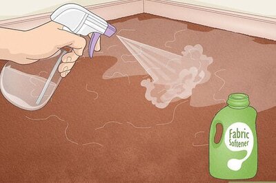 11+ Easy Ways to Remove Hair from a Carpet Without Vacuuming