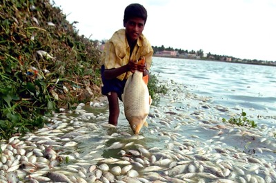 Bengaluru Will be Unliveable in Five Years, Warns IISC Study