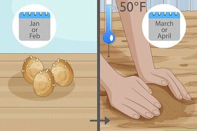 How to Chit Potatoes