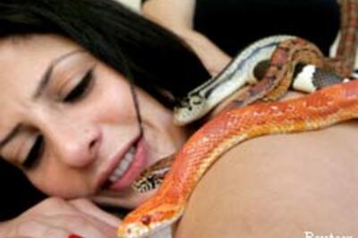 Pics: Snakes that massage your body
