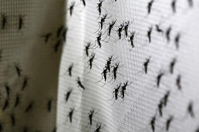 Cuba's 'Sonic Attack' Might be Connected to Insecticide Used to Fight Zika, Says Study