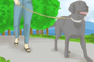 How to Make Money As a Teen Girl
