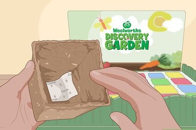 How to Plant a Woolworths Discovery Garden