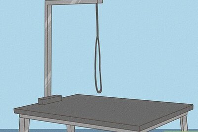 How to Groom a Senior Cat