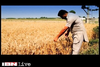 Crop insurance can protect farmers, a critical device to relive short term distress