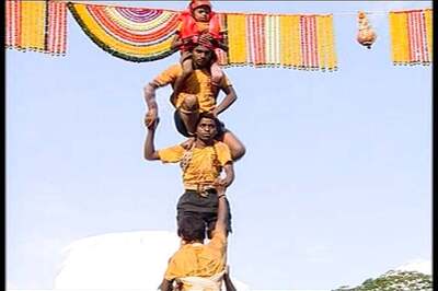 Govt Should Have Reversed Order on Dahi Handi Festival: Shiv Sena