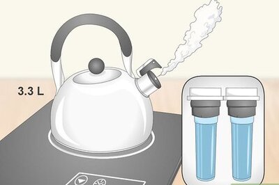 How to Brew Kombucha