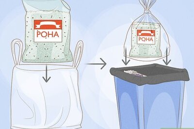 The Most Effective Ways to Get Rid of Drugstore Beetles