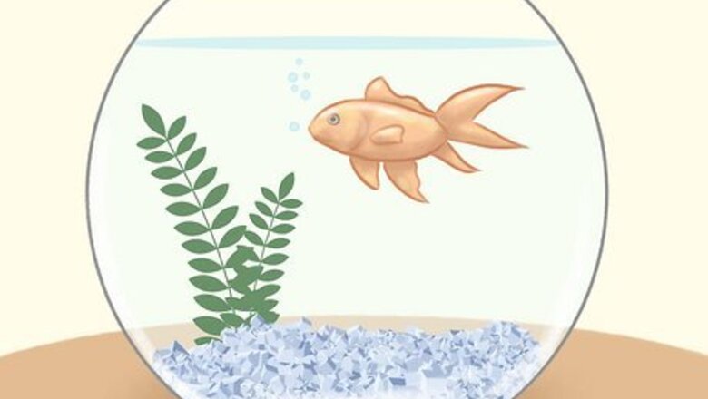 How to Teach Children to Care for Pets