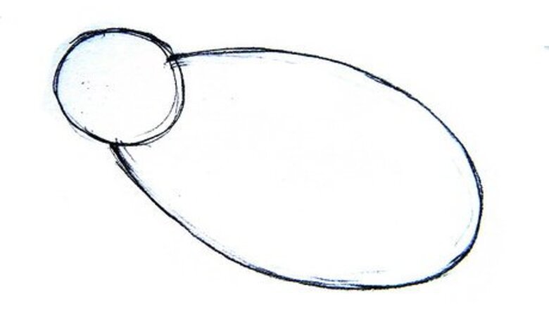 How to Draw Manatees