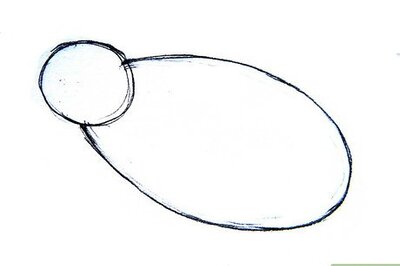 How to Draw Manatees