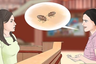 How to Report a Hotel with Bed Bugs