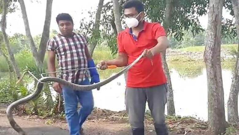 Flood Water Recedes But Leaves Back Snakes In Parts Of Howrah