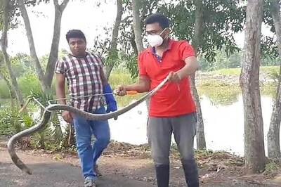 Flood Water Recedes But Leaves Back Snakes In Parts Of Howrah